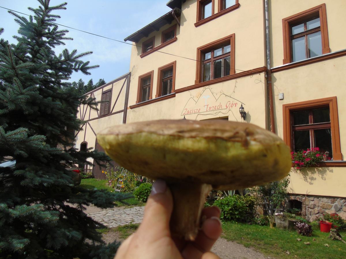 Villa Zacisze Trzech Gór Jedlina-Zdroj Exterior foto