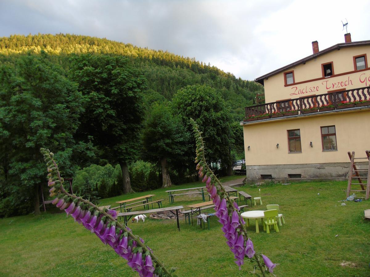 Villa Zacisze Trzech Gór Jedlina-Zdroj Exterior foto