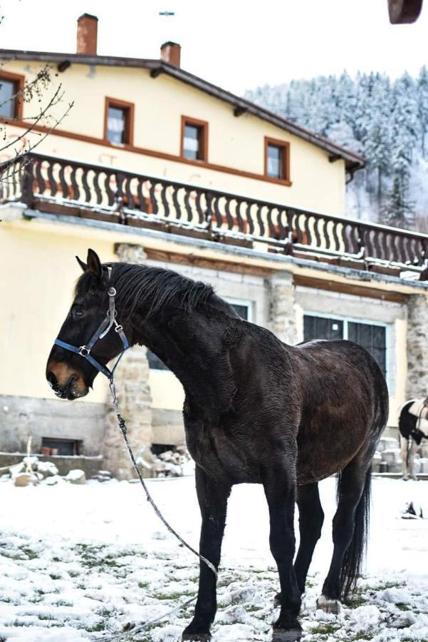 Villa Zacisze Trzech Gór Jedlina-Zdroj Exterior foto
