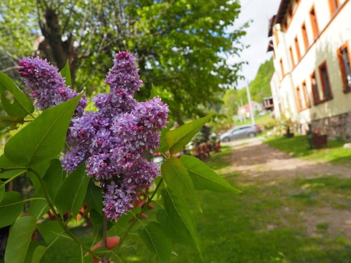 Villa Zacisze Trzech Gór Jedlina-Zdroj Exterior foto